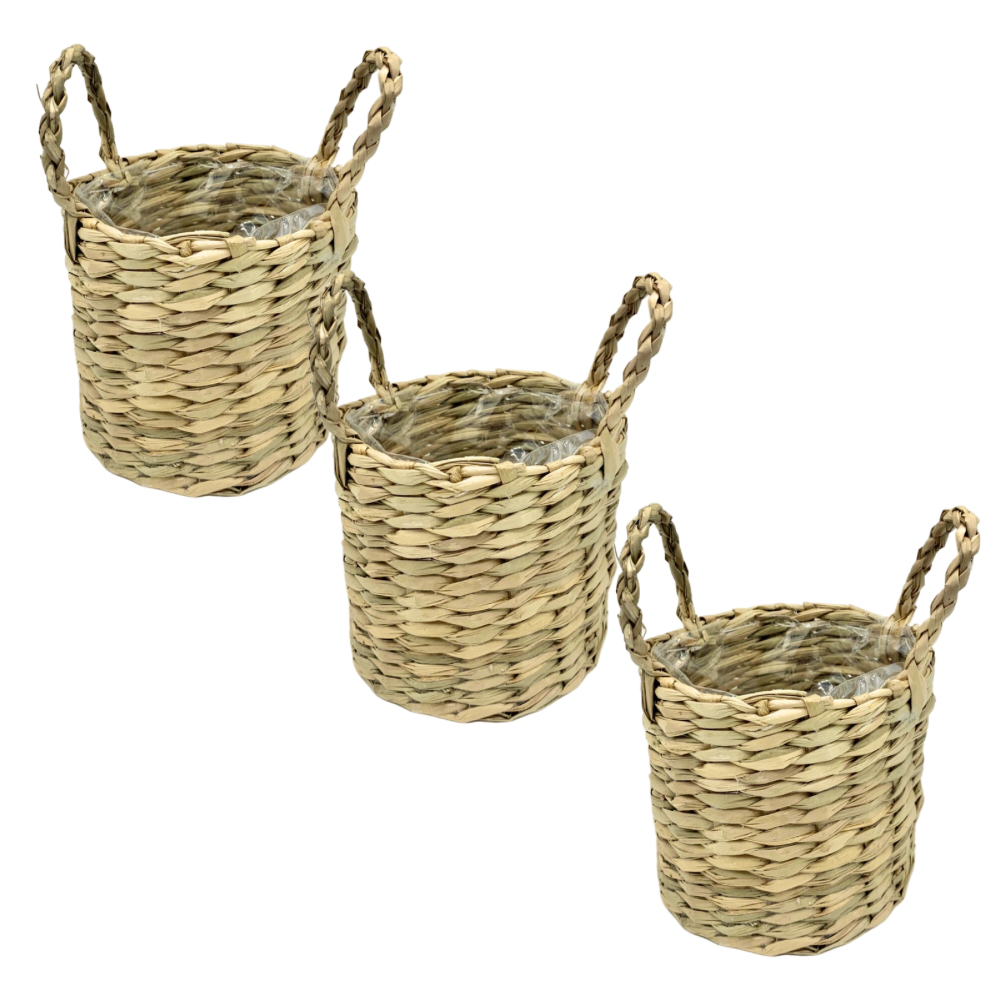 small wicker plant pots Trio Mini Wicker Plant Pots