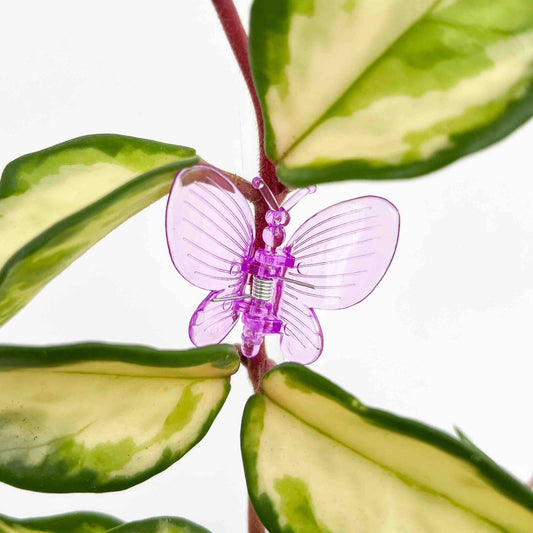 Une pince papillon mauve en plastique transparent et son ressort métallique, fixée sur une tige rouge avec des feuilles vertes