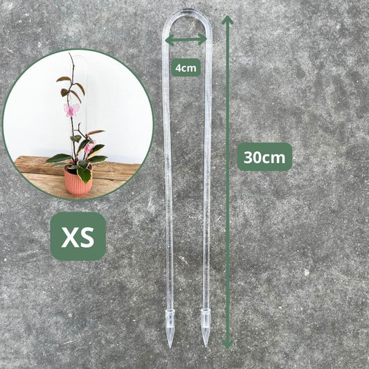 Tuteur Hoya - Tuteur Arche pour Hoya - Tuteur Acrylique Transparent - Support pour plantes grimpantes