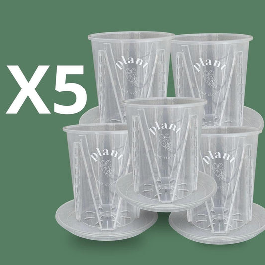 Lot Pot Aracées Transparent - Pot de culture transparent pour plantes - plantandstories