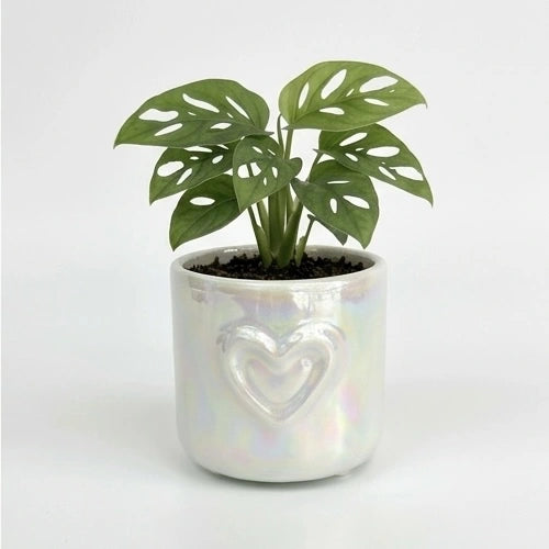 Cache-pot Coeur en céramique finition nacrée