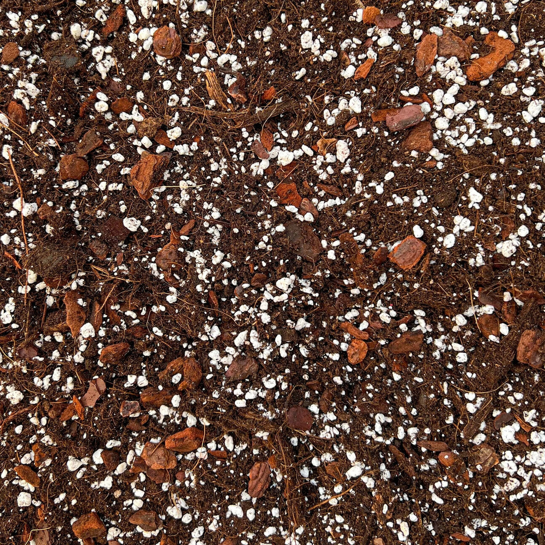 Texture du Terreau Hoya Premium avec perlite blanche, éclats de coco et morceaux d'écorce