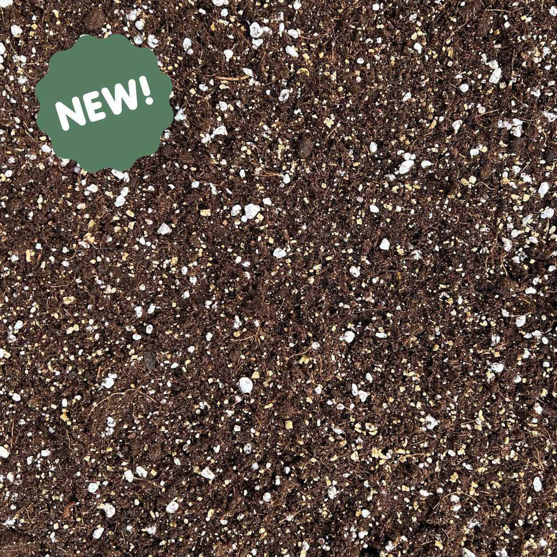 Texture de terreau Calathea & Maranta premium enrichi de perlite blanche drainante et de fibres nutritives