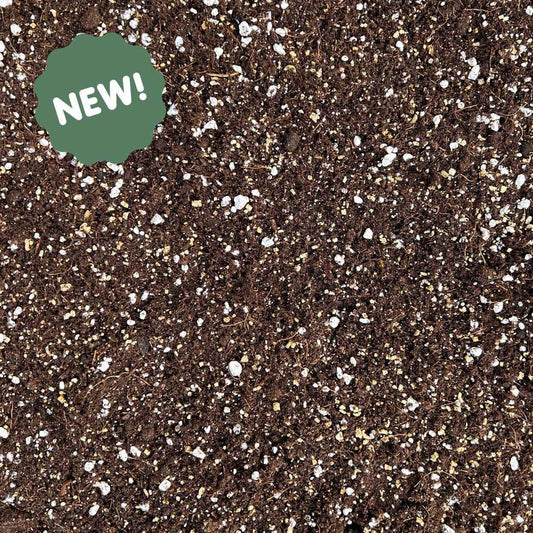 Texture de terreau Calathea & Maranta premium enrichi de perlite blanche drainante et de fibres nutritives