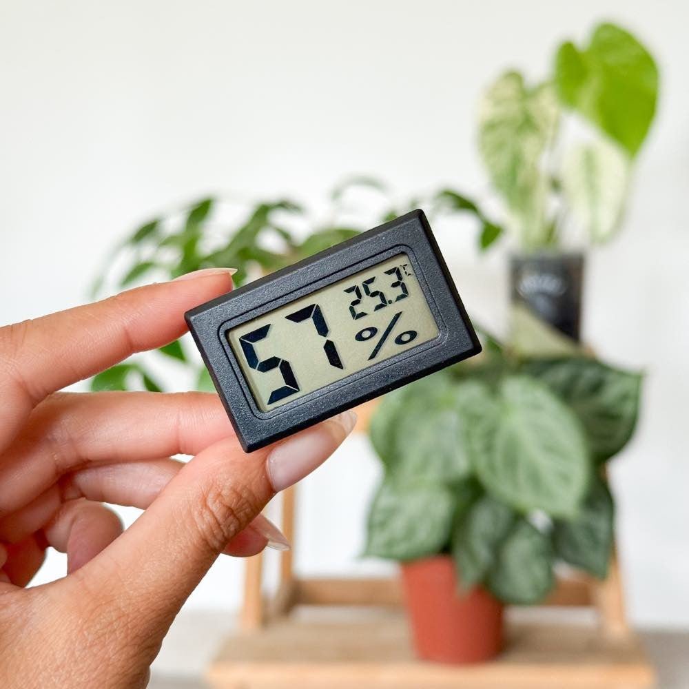 Hygromètre numérique tenu à la main affichant 57 % d'humidité et 25,3 °C devant des plantes d'intérieur