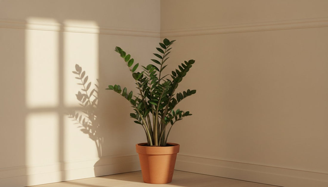 Plantes d'intérieur pour pièce sombre : transformez vos coins d'ombre en 2026 - plantandstories