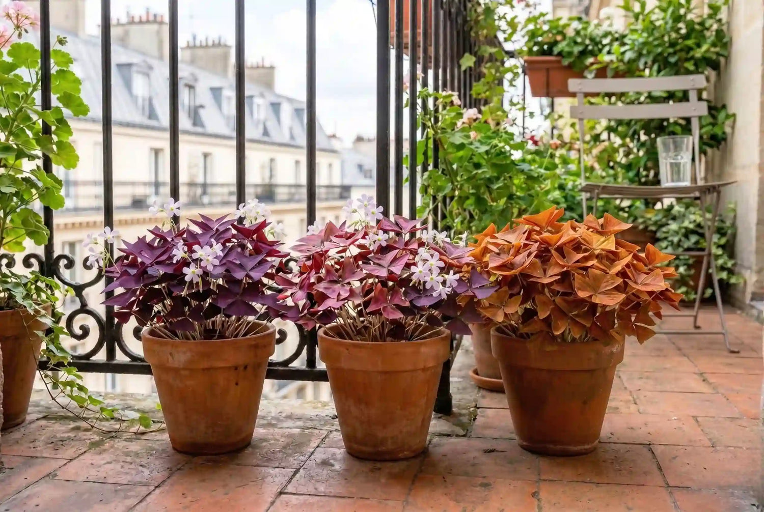 Sélection Fête des mères - plantandstories