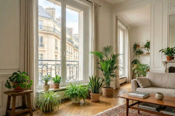 Plantes dépolluantes / Purifiantes - plantandstories