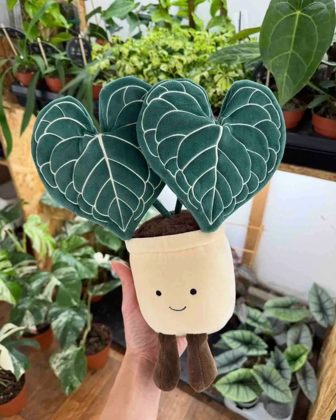 Sélection coup de coeur - plantandstories