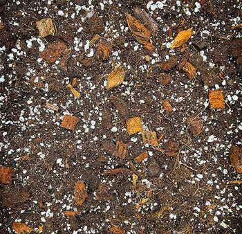 Terreaux & Substrats - plantandstories