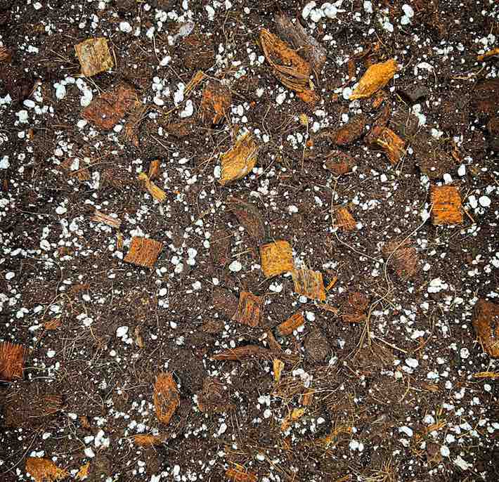 Terreaux & Substrats