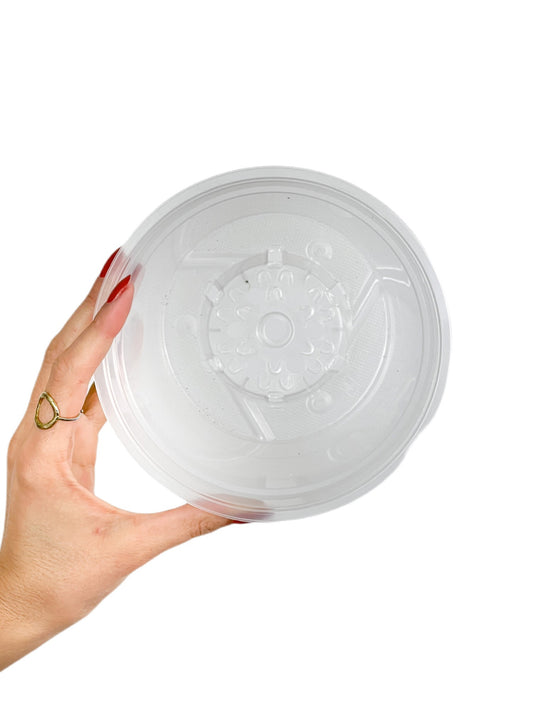 Transparent Plant Pot - Clear Pot with Perforated Growing Holes