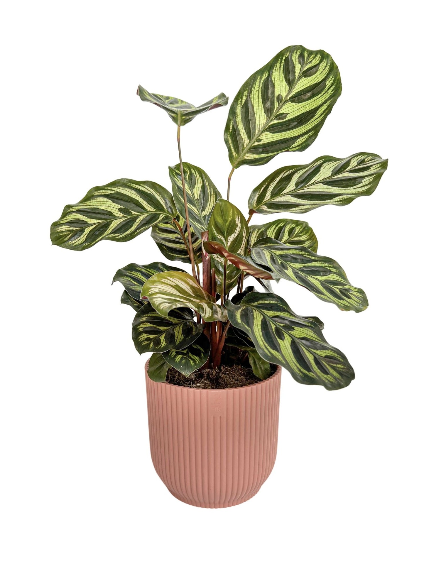 Vibes Fold Round Pot Planter Elho