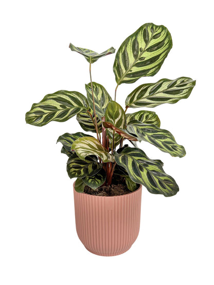 Vibes Fold Round Pot Planter Elho