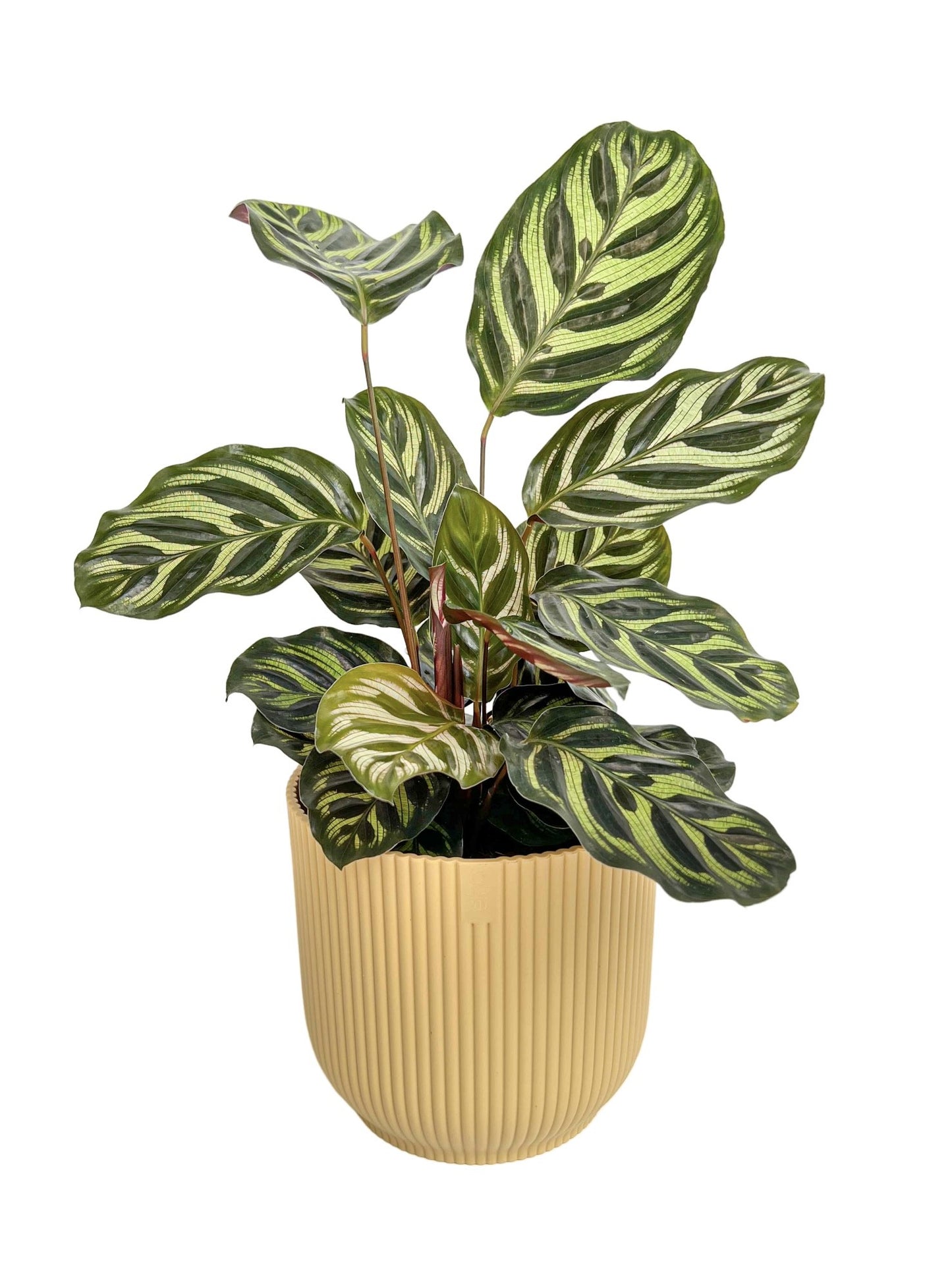 Vibes Fold Round Pot Planter Elho