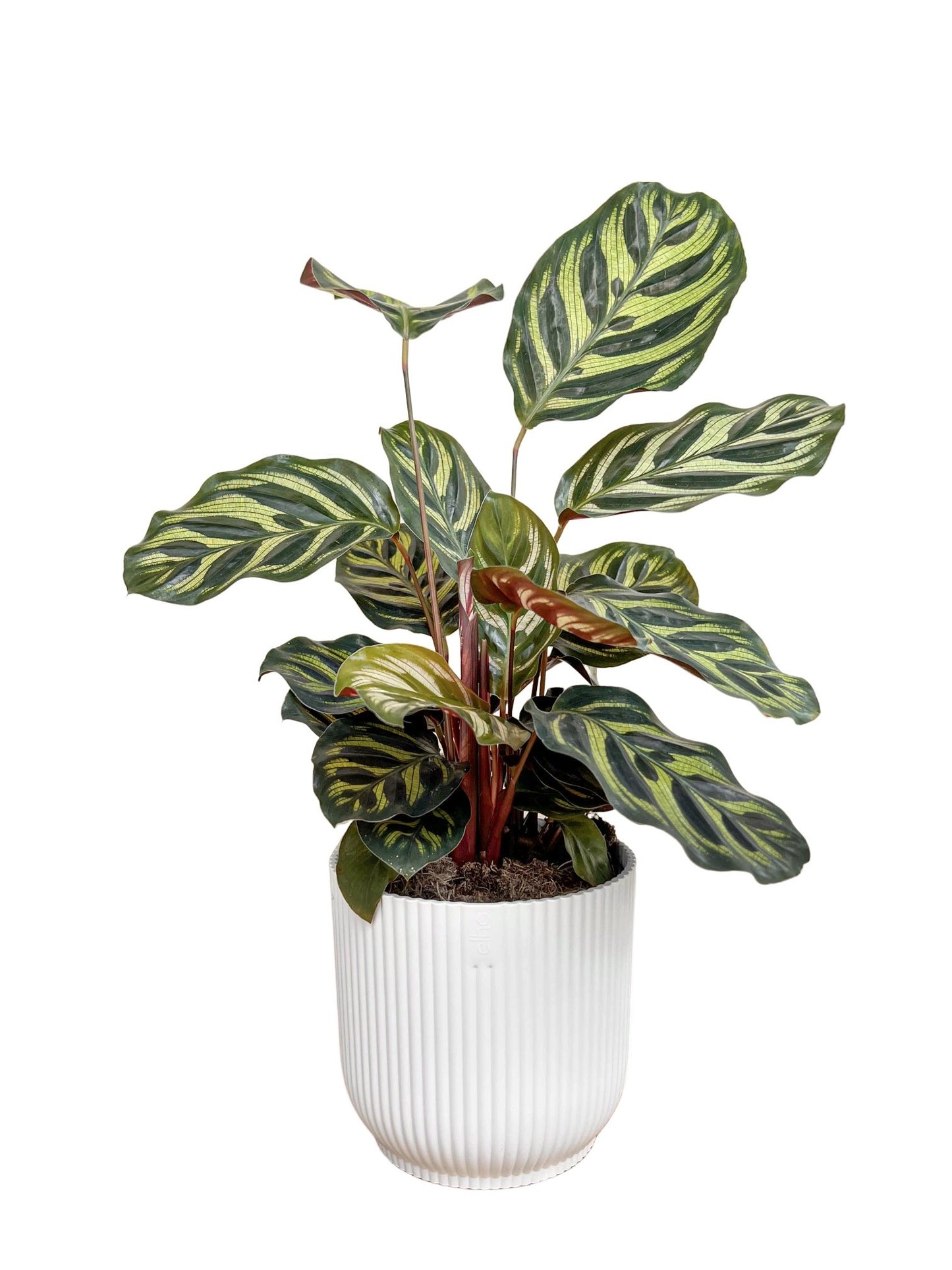Vibes Fold Round Pot Planter Elho