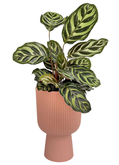 Vibes Fold Pot Planter Elho Cup