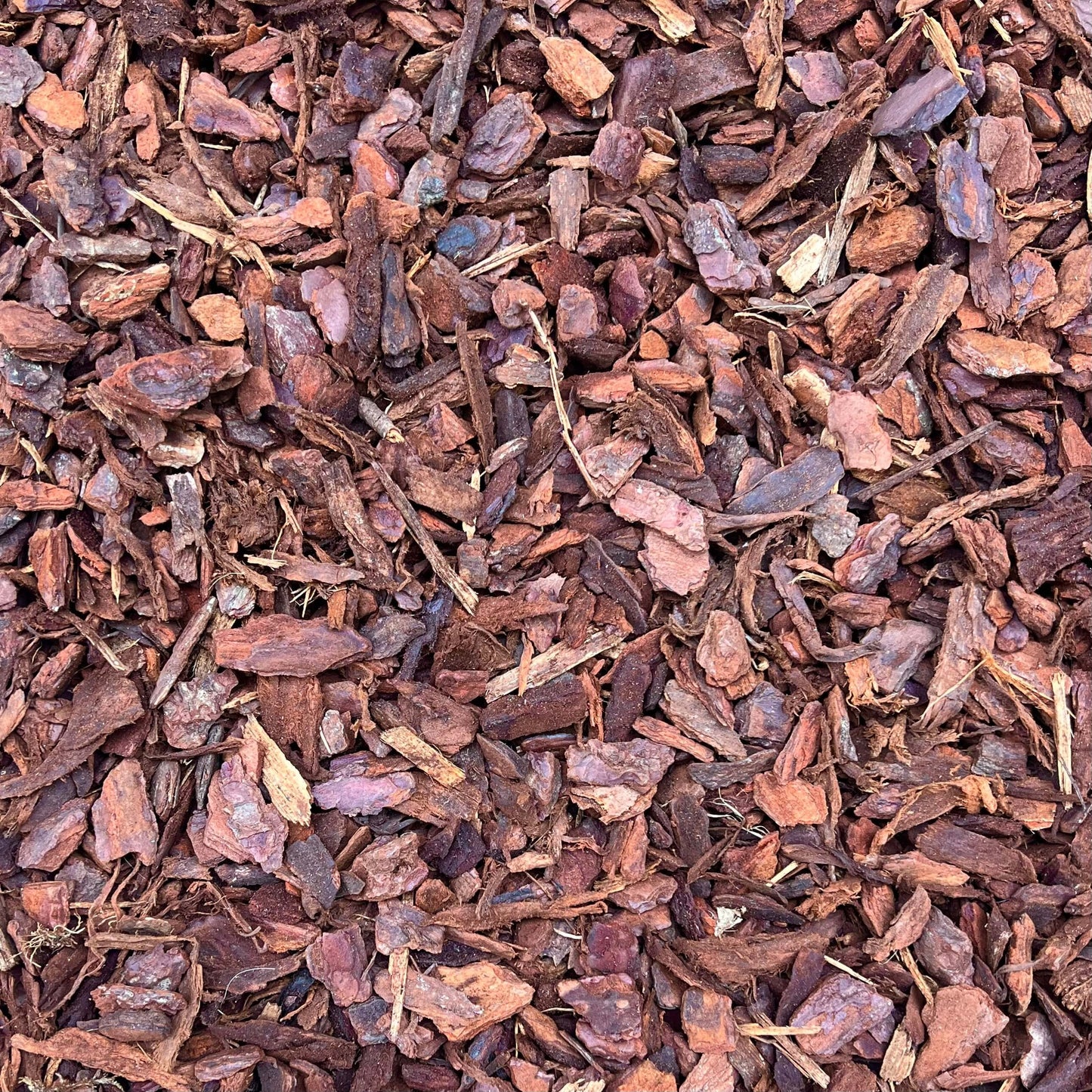 French Maritime Pine Bark 4L - Medium Size