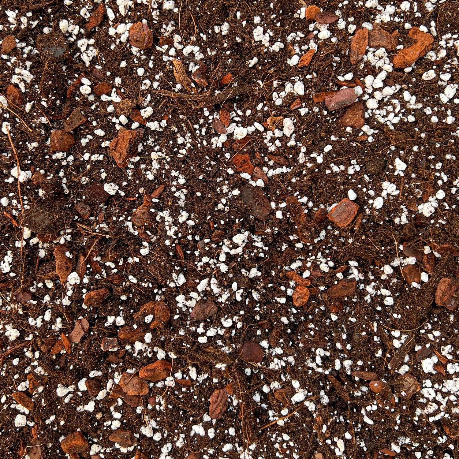 Texture du terreau Hoya premium avec de la perlite blanche, des éclats de coco et des morceaux d'écorce