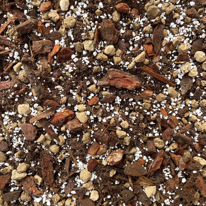 type of soil for anthurium Premium Anthurium Potting Soil Enriched with Mycorrhizae and Bacillus – plantandstories