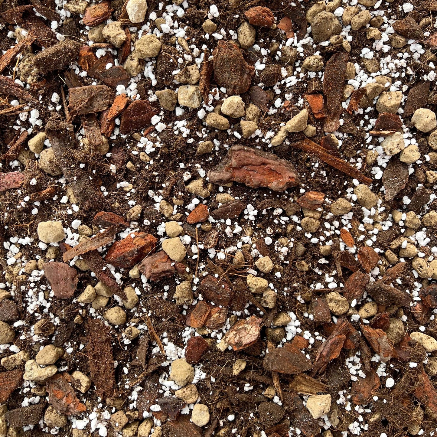 Terreau Anthurium Premium - Enrichi en Mycorhize et Bacillus