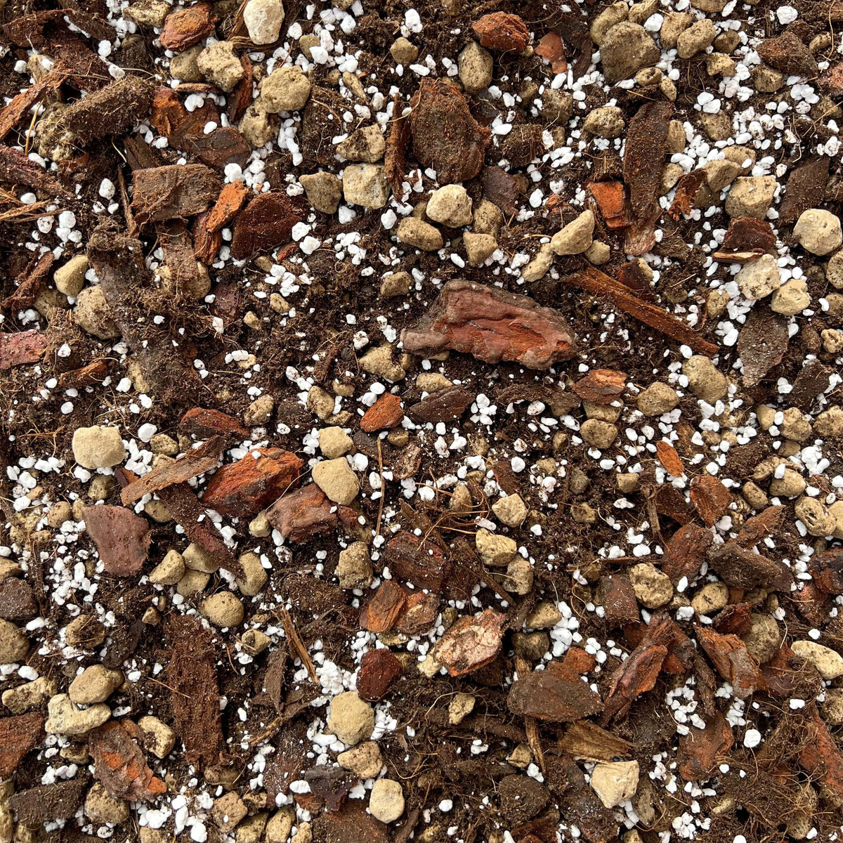Gros plan sur un terreau Anthurium de couleur brune, parsemé d'éclats d'écorce, de perlite blanche et de billes claires