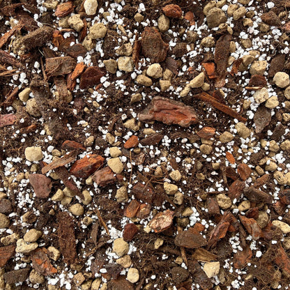 Terreau Anthurium Premium - Enrichi en Mycorhize et Bacillus