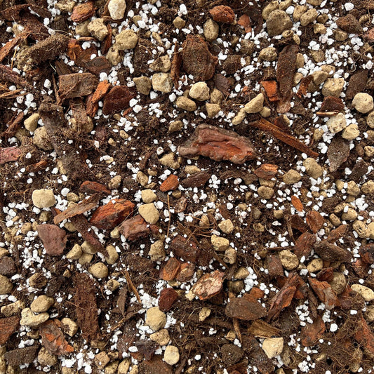 Terreau Anthurium Premium - Enrichi en Mycorhize et Bacillus