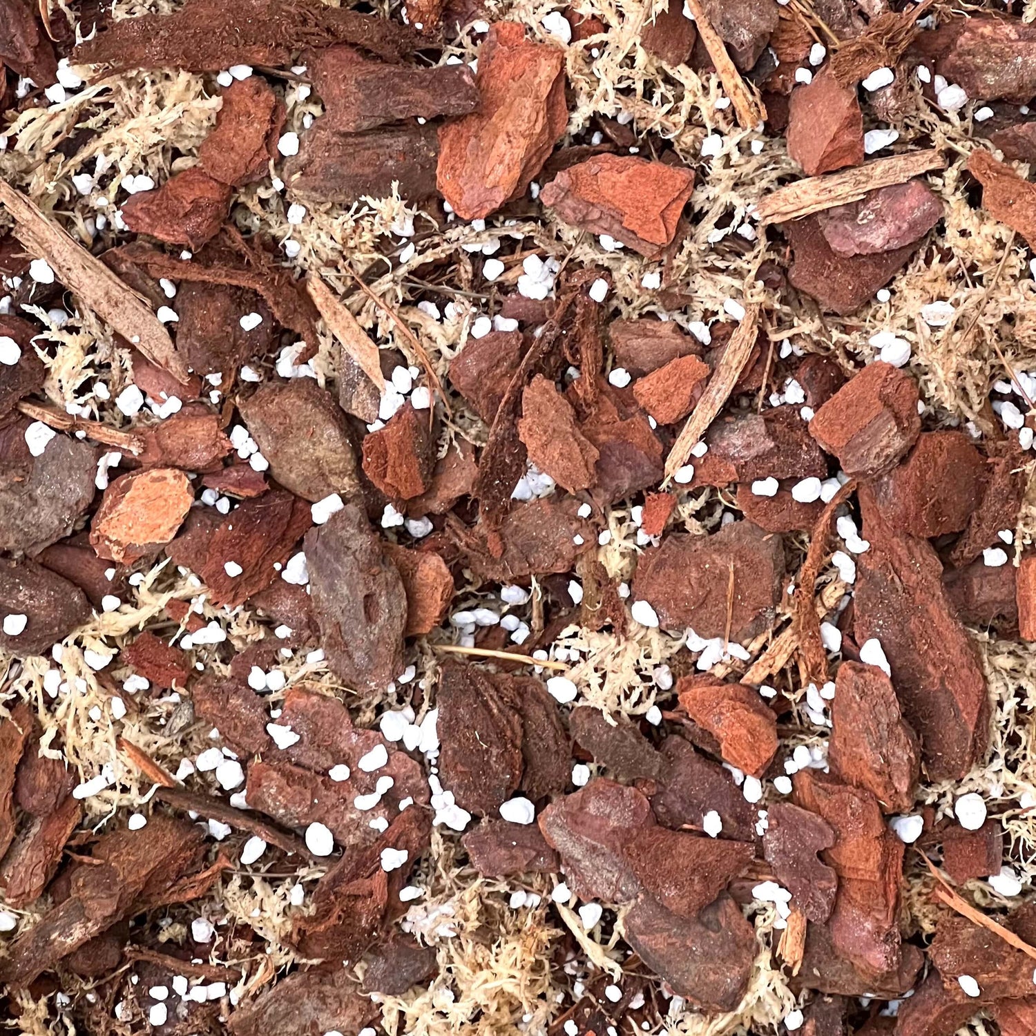 Gros plan sur un substrat aéré et drainant de terreau pour orchidée, composé de morceaux d'écorces et de perlite