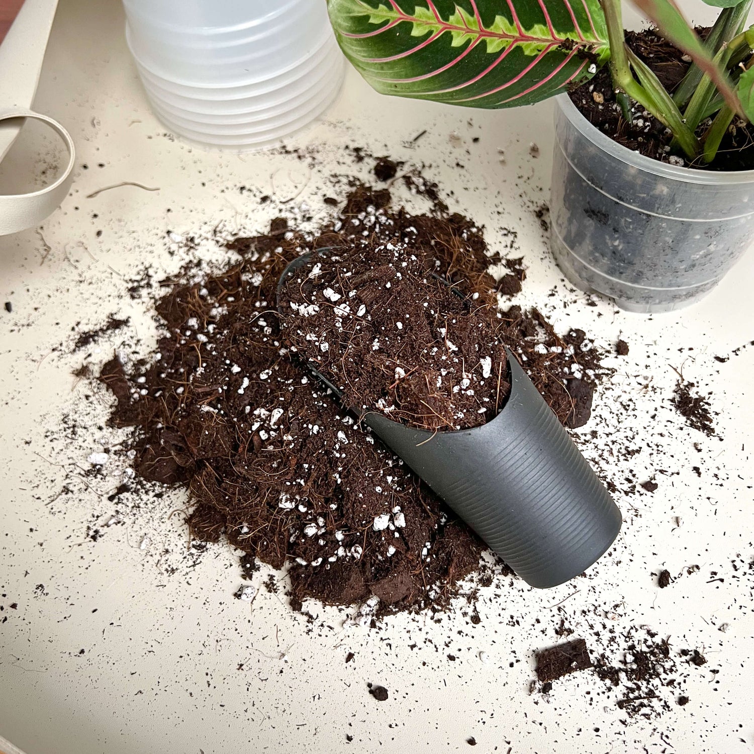 Mini pelle de rempotage noire remplie de substrat pour plantes d'intérieur et un pot transparent en arrière-plan