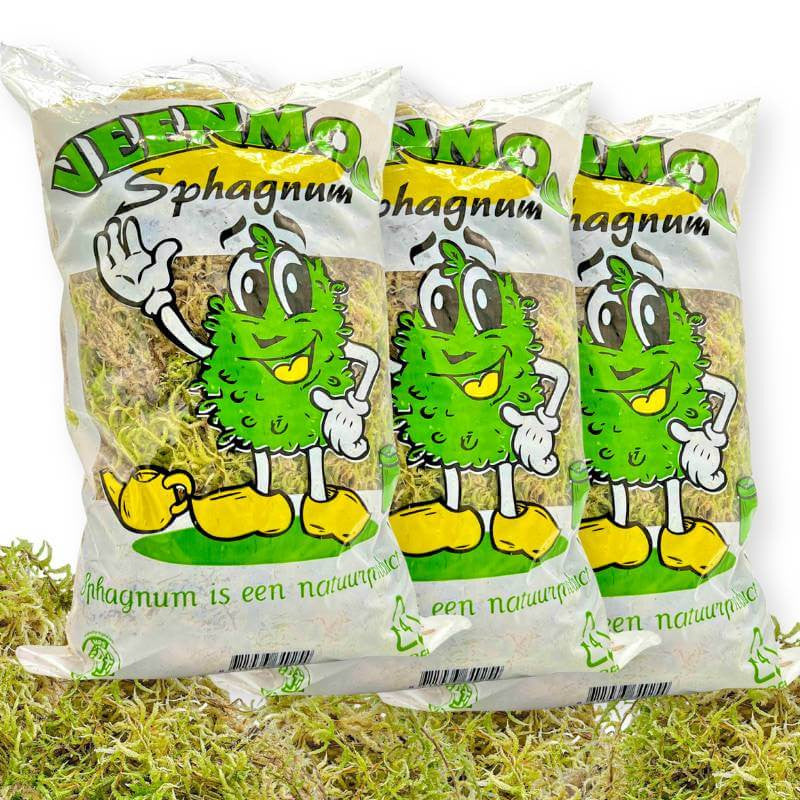 Trois sachets de mousse de sphaigne pour plantes, de couleur verte et beige, posés sur un lit de sphaigne sèche