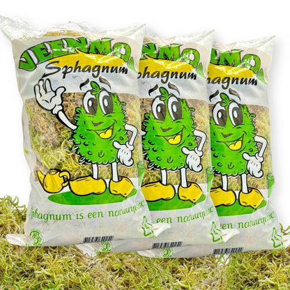 Pack Plant addict Sphaigne Vivante - Sphaigne pour plante - Mousse de sphaigne