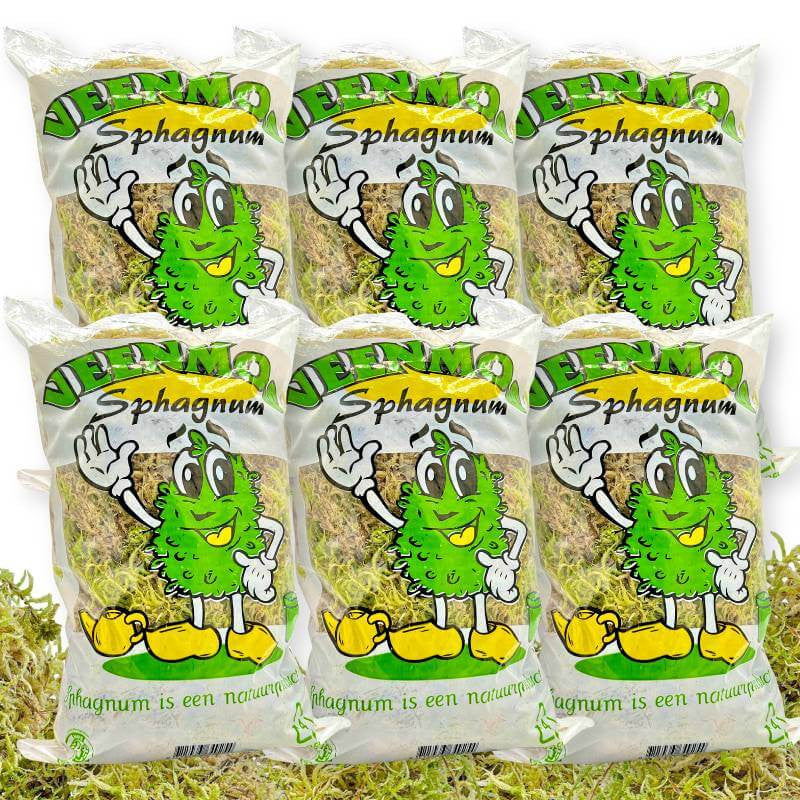 Pack de 6 sachets de sphaigne vivante pour plante avec mascotte illustrée posés sur un tapis de mousse