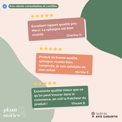 Sphaigne vivante - Sphaigne pour plante - Mousse de sphaigne - Sphaigne vivante pour plante