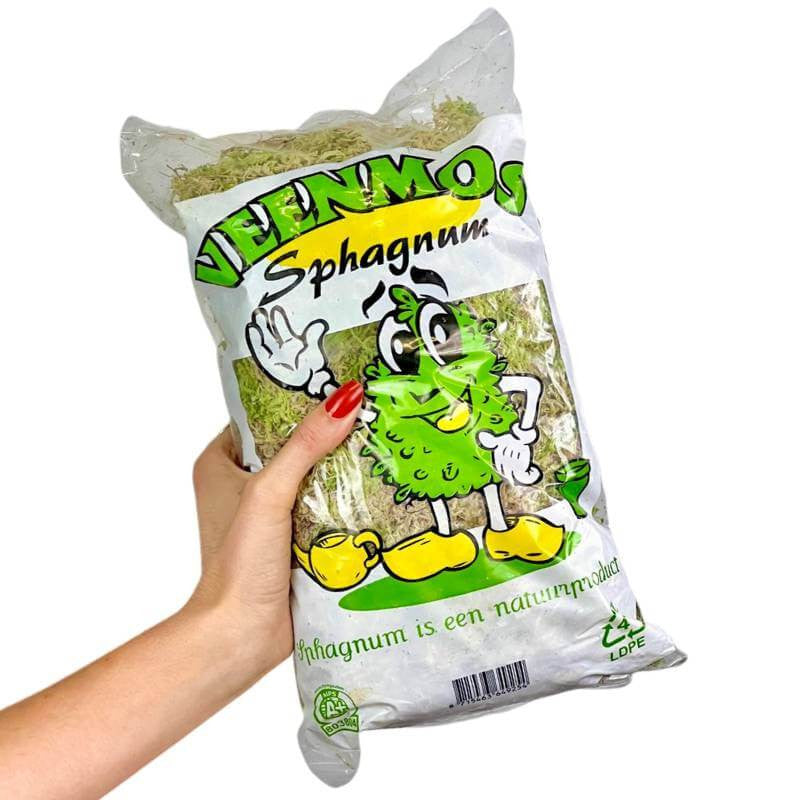 Sphaigne vivante - Sphaigne pour plante - Mousse de sphaigne - Sphaigne vivante pour plante