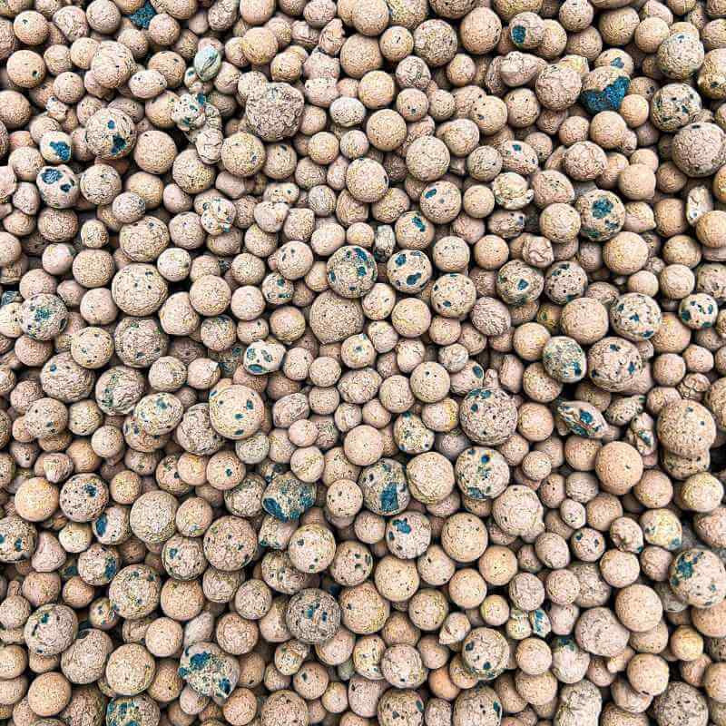 Gros plan sur de nombreuses billes d'argile de tailles et de teintes beige-ocre variées, avec des taches bleues
