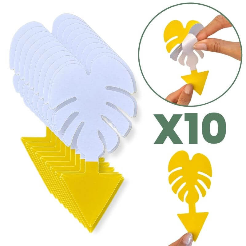 Pièges Jaunes Englués Anti-Mouche de Terreau - Sciarides - Double Face