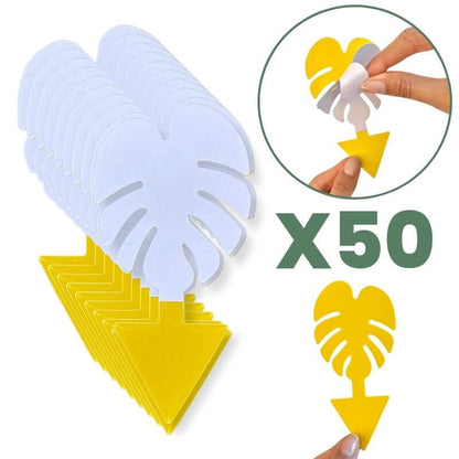 Pièges Jaunes Englués Anti-Mouche de Terreau - Sciarides - Double Face