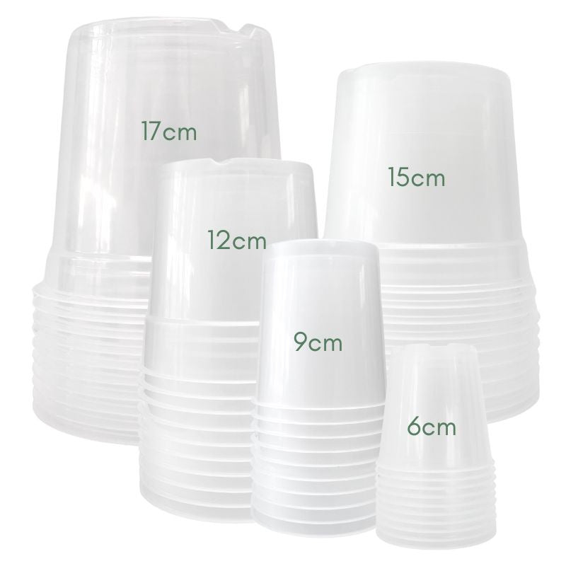 Pack of 50 Transparent Pots - Plant Addict Special