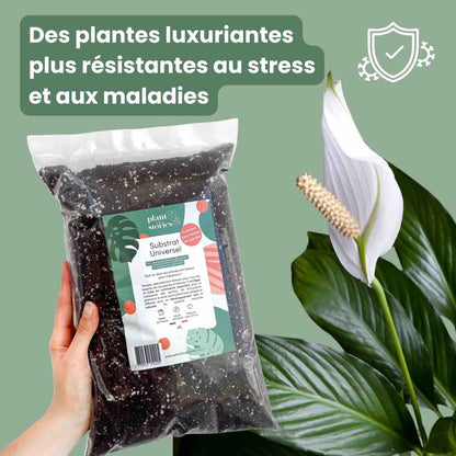 Substrat Universel enrichi en Mycorhize et Bacillus - Qualité Supérieure