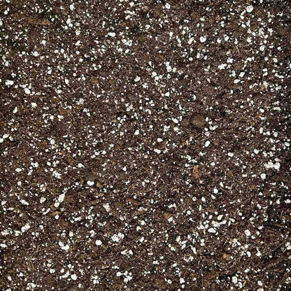 Substrat Universel enrichi en Mycorhize et Bacillus - Qualité Supérieure