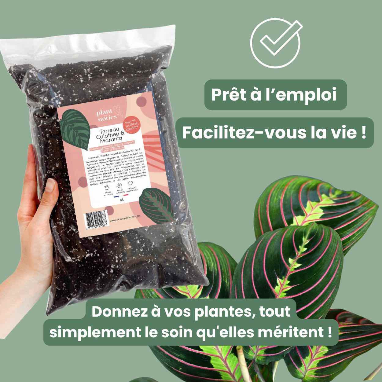 potting mix calathea Premium Calathea & Maranta Potting Soil