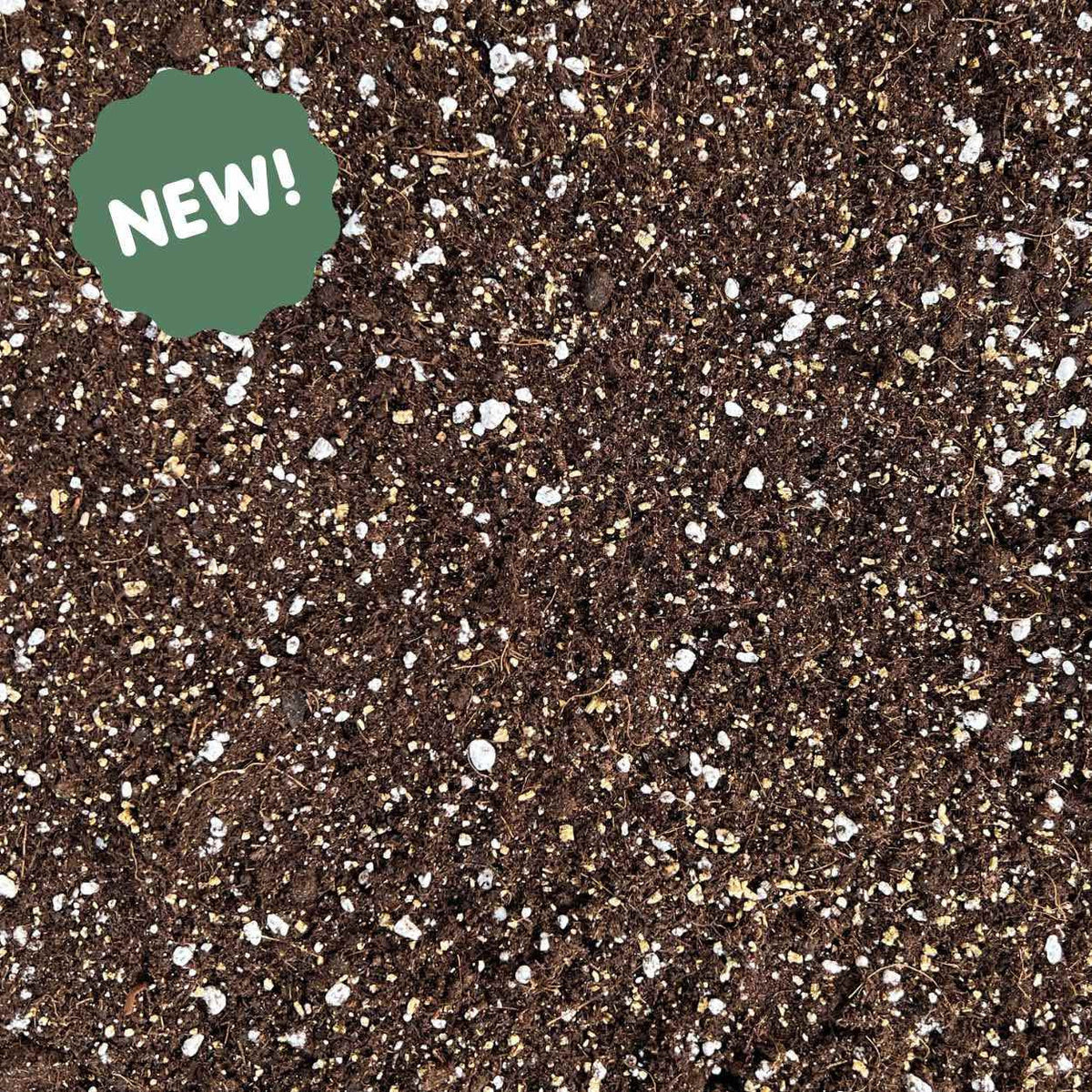 Texture de terreau Calathea & Maranta premium enrichi de perlite blanche drainante et de fibres nutritives