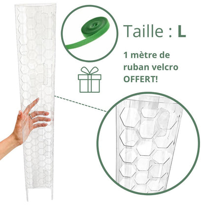 Pack of 3 transparent plant supports + 1m of free Velcro tape - Support for climbing plants