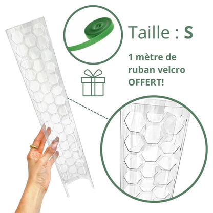 Pack of 3 transparent plant supports + 1m of free Velcro tape - Support for climbing plants
