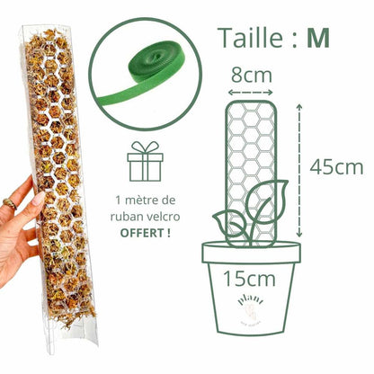 Pack of 3 transparent plant supports + 1m of free Velcro tape - Support for climbing plants