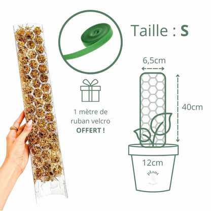 Pack of 3 transparent plant supports + 1m of free Velcro tape - Support for climbing plants