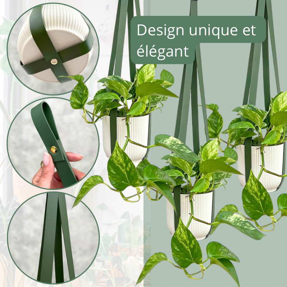 Trois plantes vertes avec des feuilles panachées, suspendues dans des pots blancs striés à l'aide de suspensions en similicuir vert
