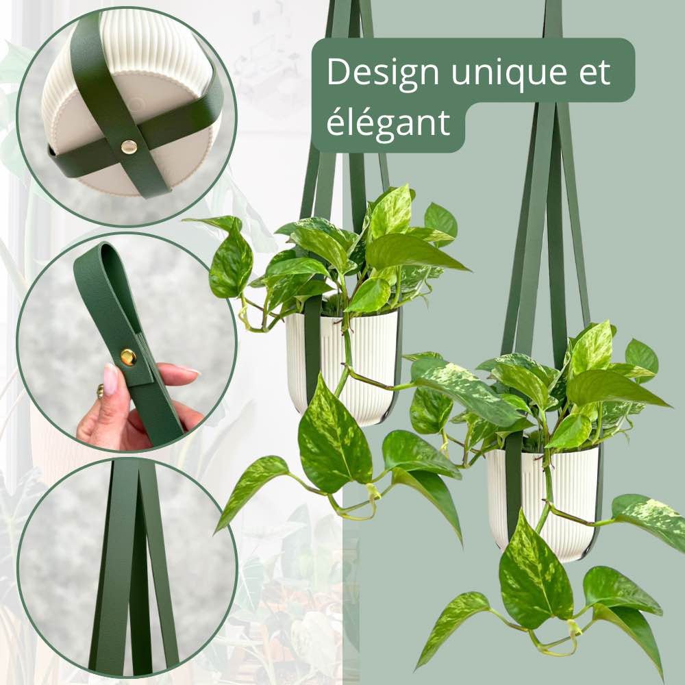 Deux pothos aux feuilles vertes et panachées dans des pots blancs striés suspendus par des lanières en similicuir vert