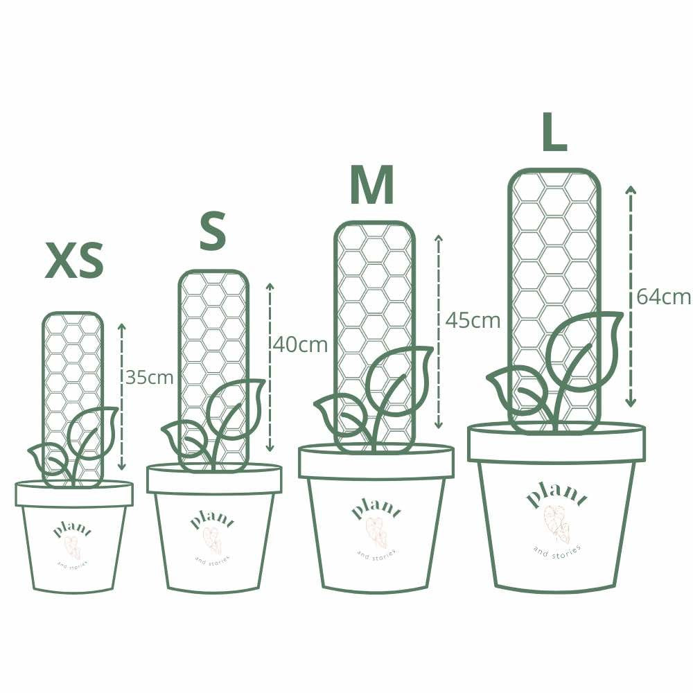 Pack of 3 transparent plant supports + 1m of free Velcro tape - Support for climbing plants